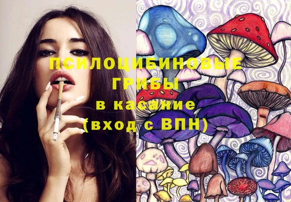 ПСИЛОЦИБИНОВЫЕ ГРИБЫ Армянск